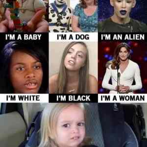 Obrázek 'I see dumb people '