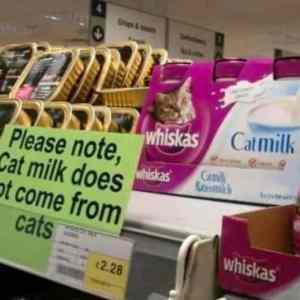 Obrázek 'I&nbsp;will&nbsp;try'