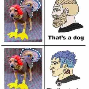 Obrázek 'Iam&nbsp;confused'