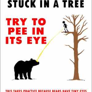 Obrázek 'If a Bear Has You Stuck In a Tree  '