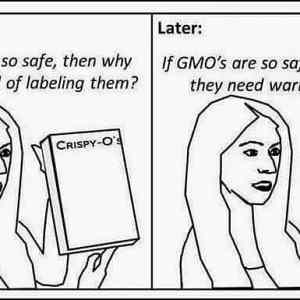 Obrázek 'If we label GMOs'