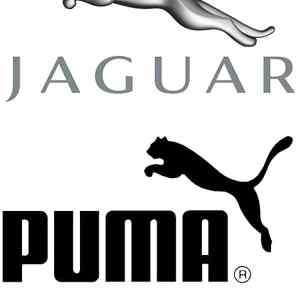 Obrázek 'Igor&nbsp;26-03-2012'