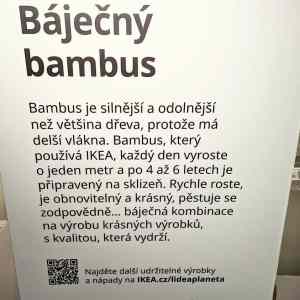 Obrázek 'Ikea sklizi dvoukilometrove bambusy   '