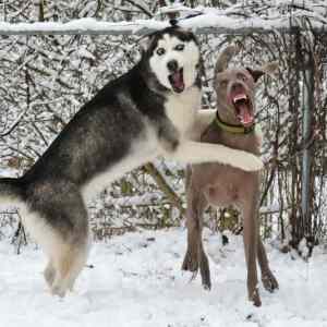 Obrázek 'Impeccable&nbsp;TiminG&nbsp;&nbsp;&nbsp;'