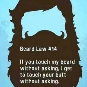 Obrázek 'Important-beard-law'