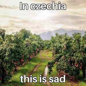 Obrázek 'In-Czechia-this-is-sad'