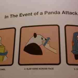 Obrázek 'In Case of Panda'