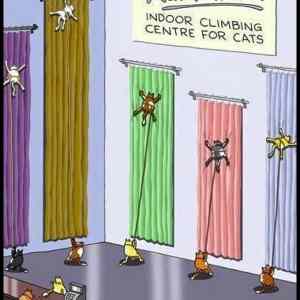 Obrázek 'Indoor Climbing Centre For Cats'