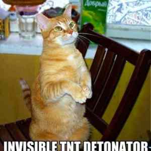 Obrázek 'Invisible TNT Detonator'