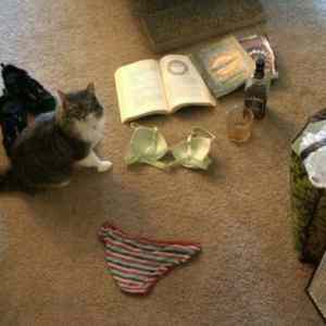 Obrázek 'Invisible&nbsp;girl&nbsp;II'