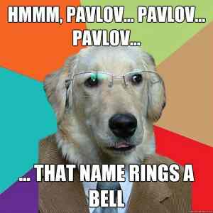 Obrázek 'Is it too soon for this one again 24-12-2011'