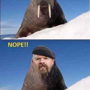 Obrázek 'Is that a Walrus'