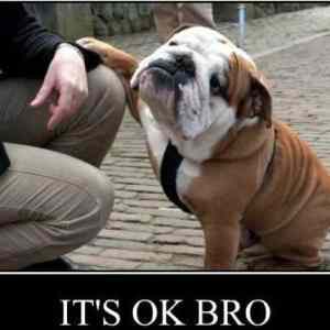 Obrázek 'Its ok bro'