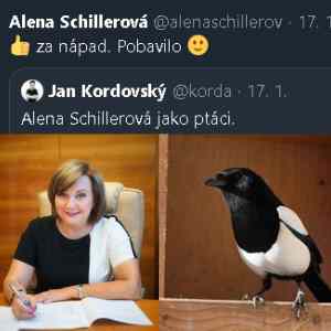 Obrázek 'Jak se asi rekne latinsky straka otaznik'