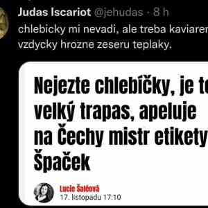 Obrázek 'Jezte vlasak s motylkem'