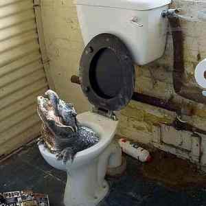 Obrázek 'Jsem tu spravne'