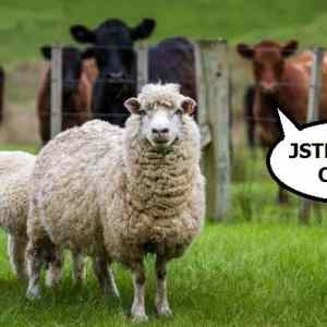 Obrázek 'Jste stado ovci'