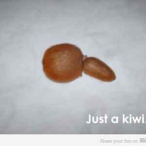Obrázek 'Just a kiwi'