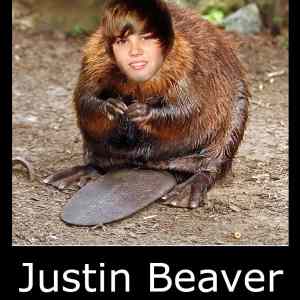 Obrázek 'Justin Beaver'