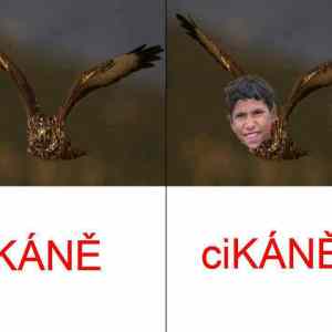 Obrázek 'Kane-Cikane'