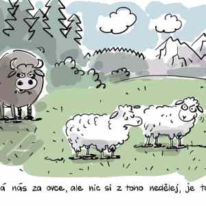 Obrázek 'Kdo je jake zviratko'