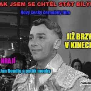 Obrázek 'Kdyz nemate rasistu tak tam dejte agenta provokatera'