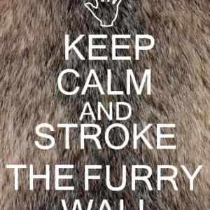 Obrázek 'Keep Calm and Stroke the Furry Wall'
