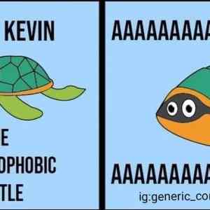 Obrázek 'Kevin&nbsp;the&nbsp;turtle'
