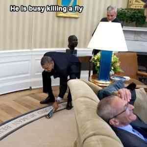 Obrázek 'KillingAFly&nbsp;'