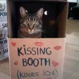 Obrázek 'Kissing booth 2'