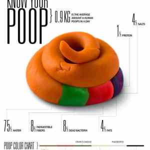 Obrázek 'Know your poop'