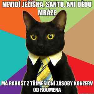 Obrázek 'Kocici business'
