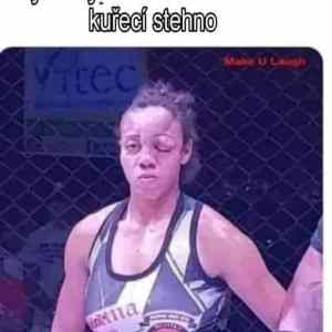 Obrázek 'Kureci stehno'