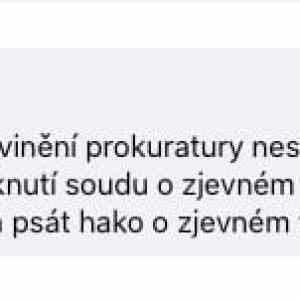 Obrázek 'Kyle Rittenhouse a profesionalni cesti slunickari'