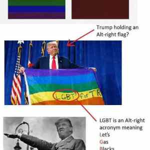 Obrázek 'LGBT is racist'