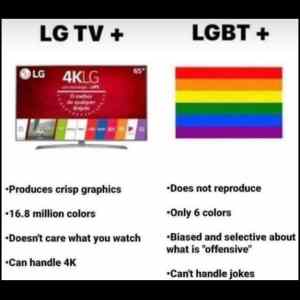 Obrázek 'LG TV vs LGBT'