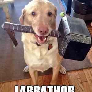 Obrázek 'Labrathor '