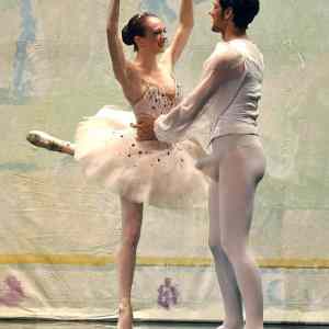 Obrázek 'Labuti&nbsp;peeeero'