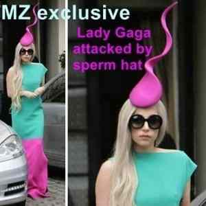 Obrázek 'Lady Gaga attacked'