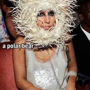 Obrázek 'Lady Gaga hat'