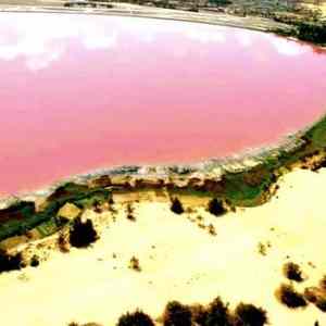 Obrázek 'Lake Retba - prirodni ruzove jezero'