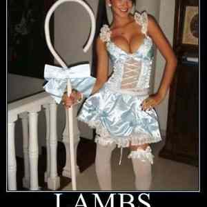 Obrázek 'Lambs'