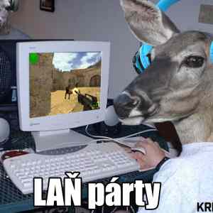 Obrázek 'Lanka&nbsp;party'