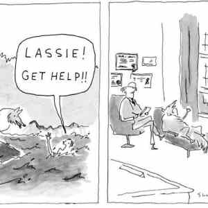 Obrázek 'Lassie&nbsp;-&nbsp;29-04-2012'