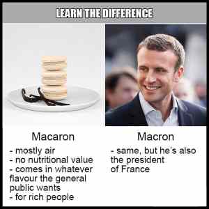 Obrázek 'Learn The Difference - Macaron vs. Macron'