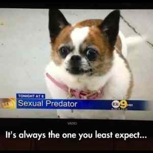 Obrázek 'Least&nbsp;Expect'