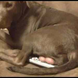 Obrázek 'Let&nbsp;Me&nbsp;Change&nbsp;The&nbsp;Channel'