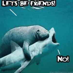 Obrázek 'Lets be friends 04-03-2012'
