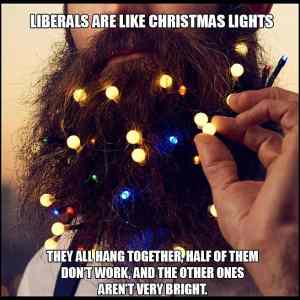 Obrázek 'Liberals Are Like Christmas Lights'