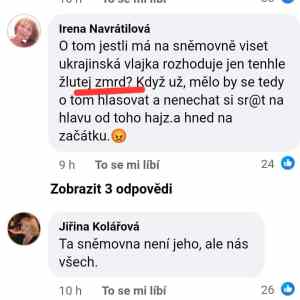 Obrázek 'Libtarddi knuceni nad nackovskym hadrem zkorumpovaneho statu'